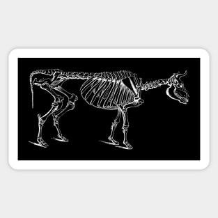 Cow Skeleton Sticker